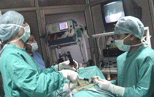spine & knee surgeon india